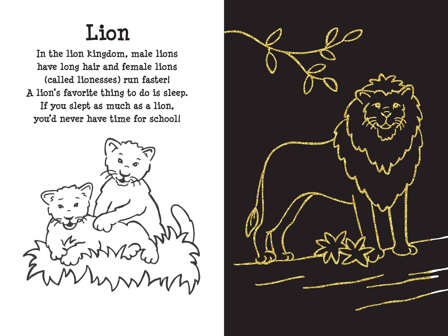 At the Zoo Scratch and Sketch Book