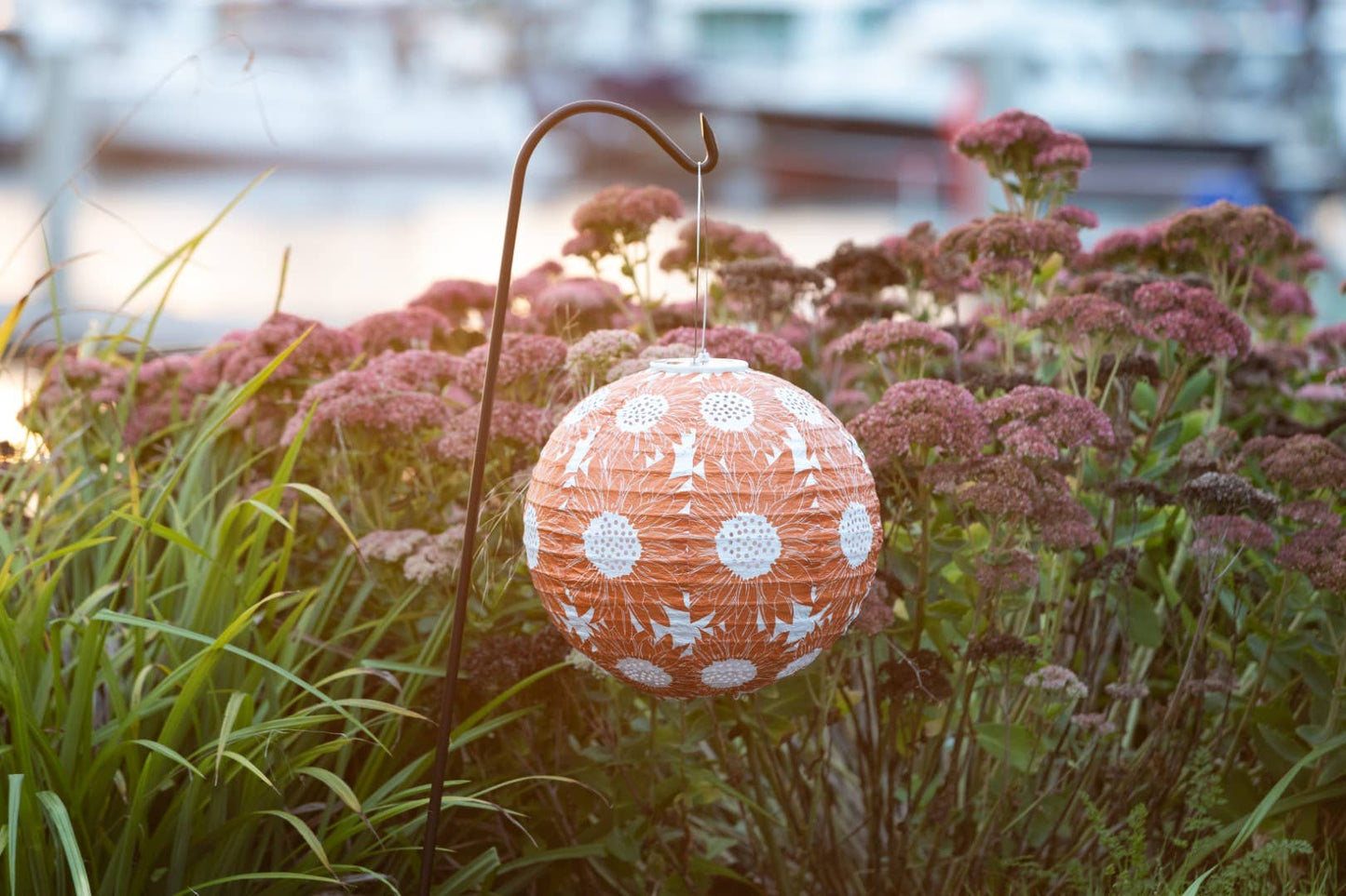 *NEW* Stella Print 12" Globe Solar Lntrn- Sunflower Persimm