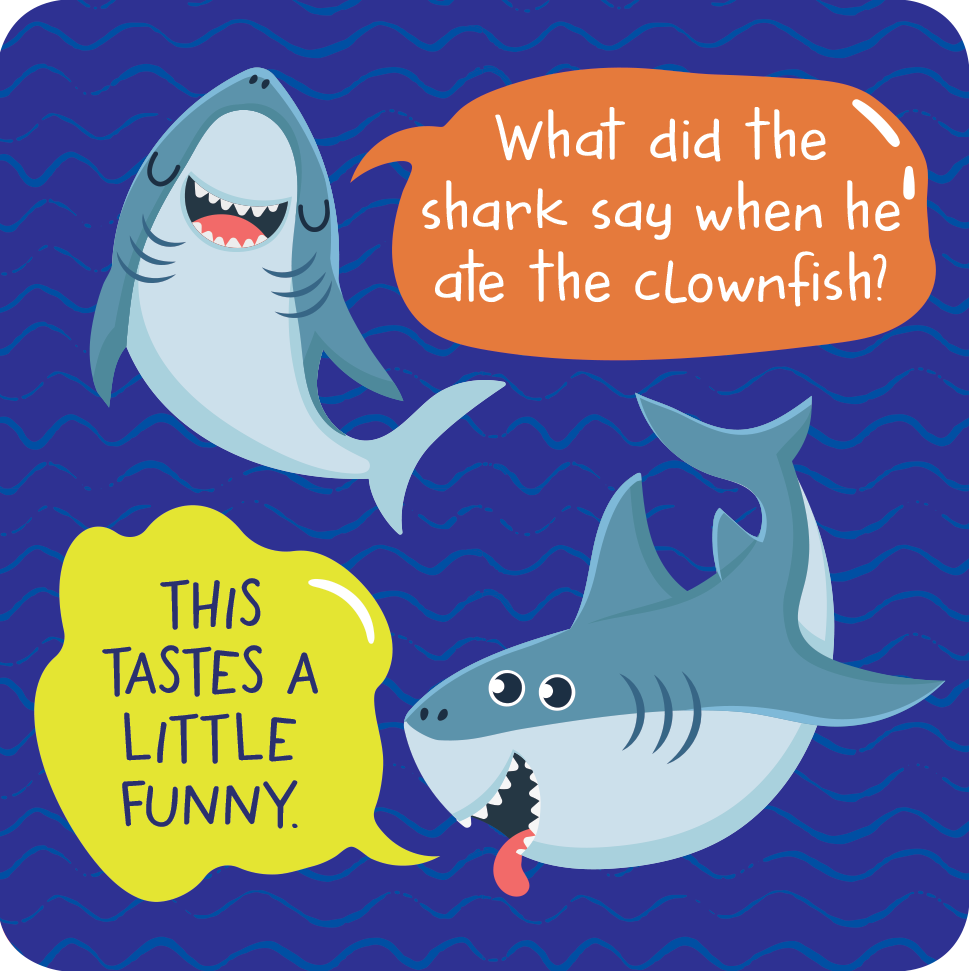 More Lunch Box Jokes Cards (Set of 60 cards)