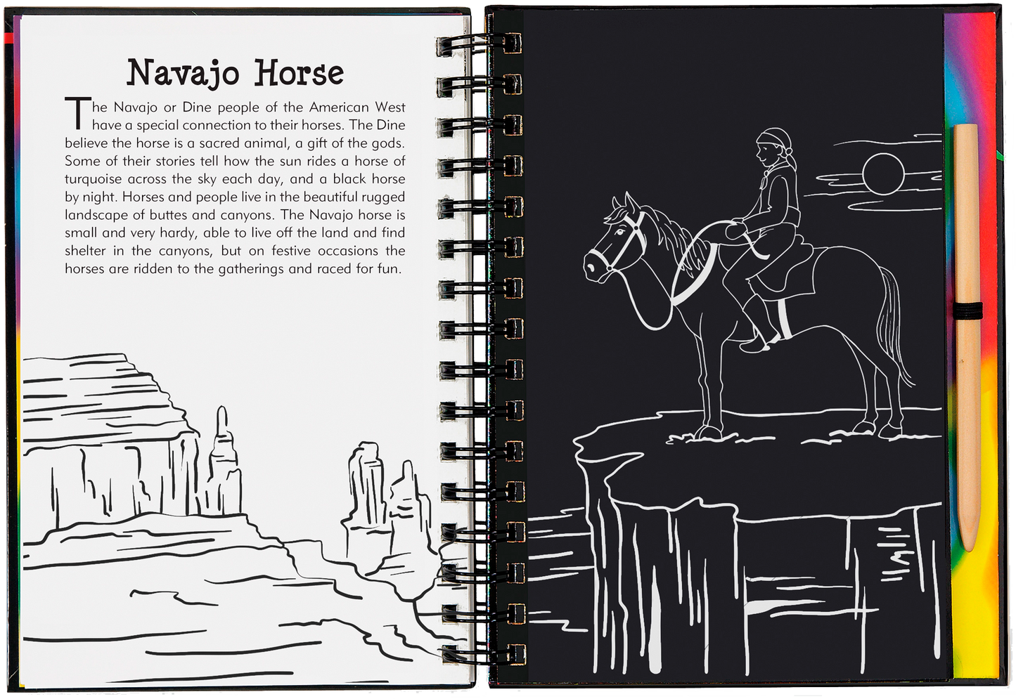 Horses Scratch and Sketch