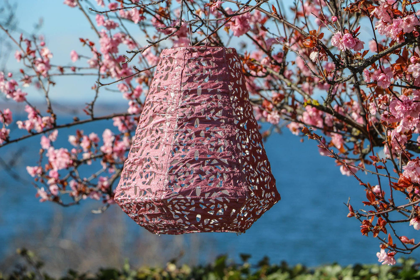 Stella Prism 11" Solar Lantern - Metallic Orchid