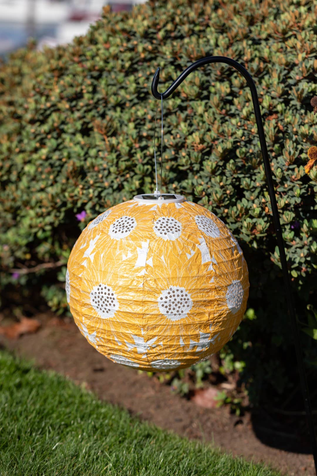*NEW* Stella Print 12" Globe Solar Lantern - Marigold