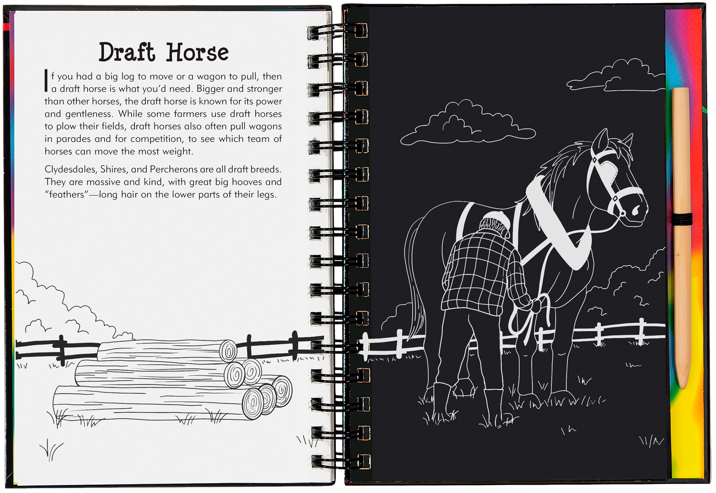 Horses Scratch and Sketch